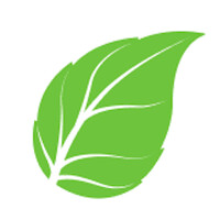 Talk Coaches logo